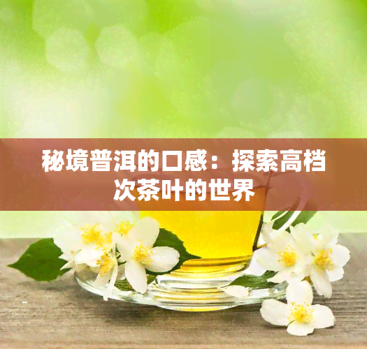 秘境普洱的口感：探索高档次茶叶的世界