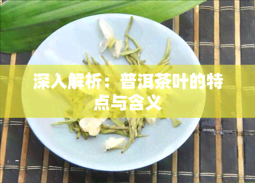 深入解析：普洱茶叶的特点与含义