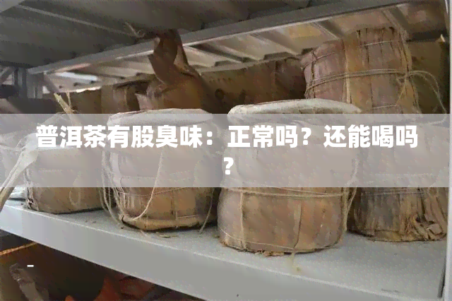 普洱茶有股臭味：正常吗？还能喝吗？