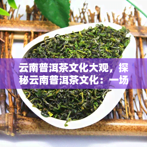 云南普洱茶文化大观，探秘云南普洱茶文化：一场穿越时空的大观