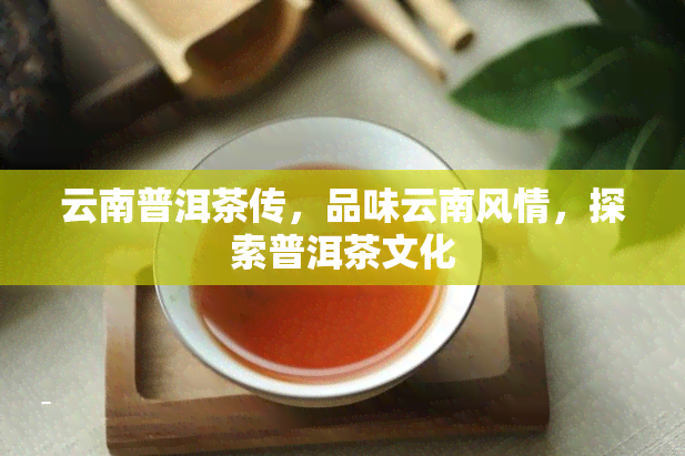 云南普洱茶传，品味云南风情，探索普洱茶文化