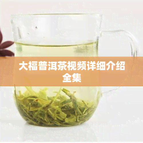 大福普洱茶视频详细介绍全集