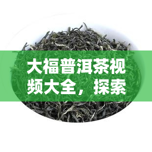 大福普洱茶视频大全，探索普洱茶的魅力：大福普洱茶视频大全