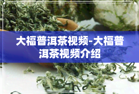 大福普洱茶视频-大福普洱茶视频介绍