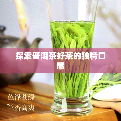 探索普洱茶好茶的独特口感