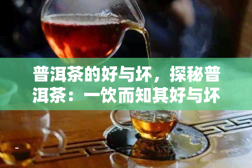 普洱茶的好与坏，探秘普洱茶：一饮而知其好与坏的秘密