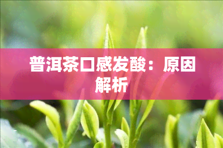 普洱茶口感发酸：原因解析