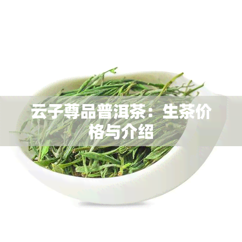 云子尊品普洱茶：生茶价格与介绍