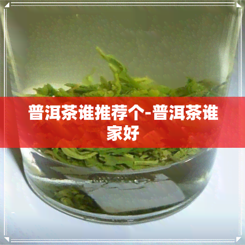 普洱茶谁推荐个-普洱茶谁家好