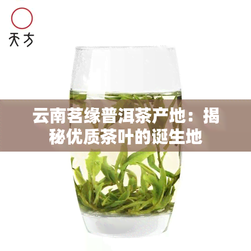 云南茗缘普洱茶产地：揭秘优质茶叶的诞生地