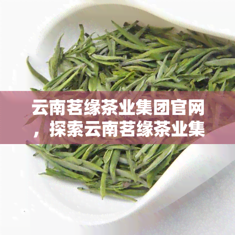 云南茗缘茶业集团官网，探索云南茗缘茶业集团：官方网站与优质茶叶的完美结合