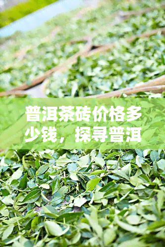 普洱茶砖价格多少钱，探寻普洱茶砖的市场价格，你想知道多少？