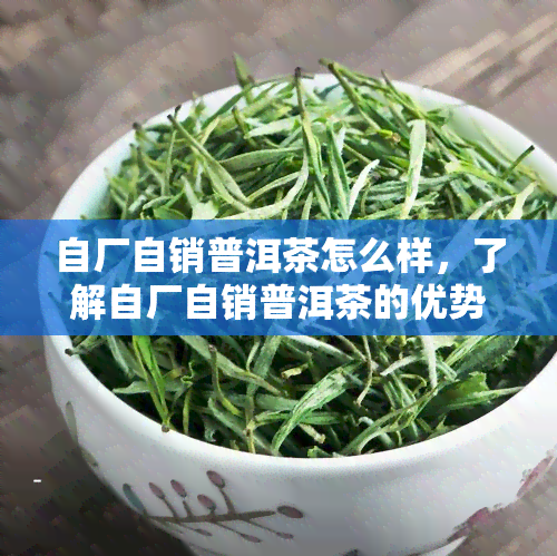 自厂自销普洱茶怎么样，了解自厂自销普洱茶的优势与特点