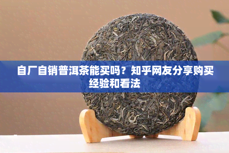 自厂自销普洱茶能买吗？知乎网友分享购买经验和看法