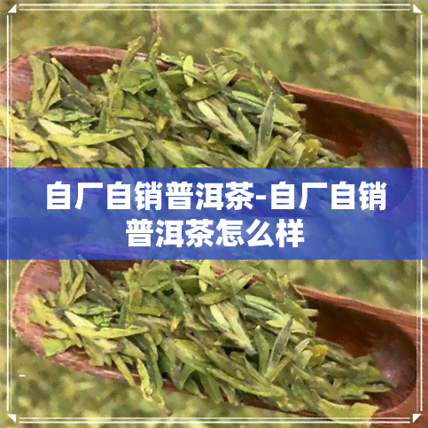 自厂自销普洱茶-自厂自销普洱茶怎么样