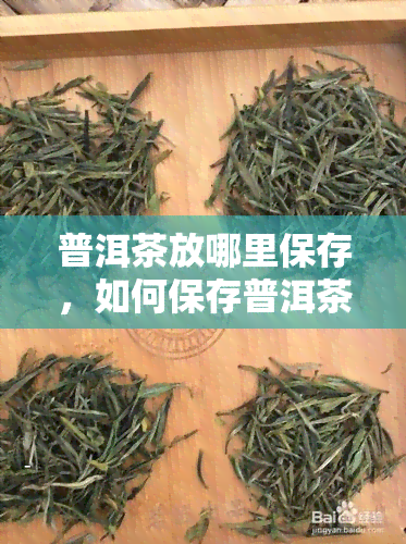 普洱茶放哪里保存，如何保存普洱茶？影响其品质的关键因素解析