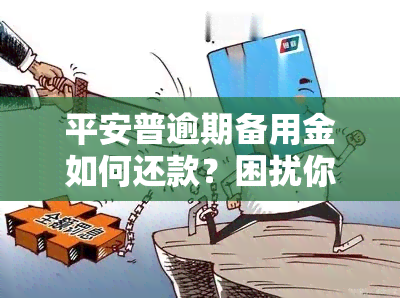 平安普逾期备用金如何还款？困扰你的问题答案在这里！