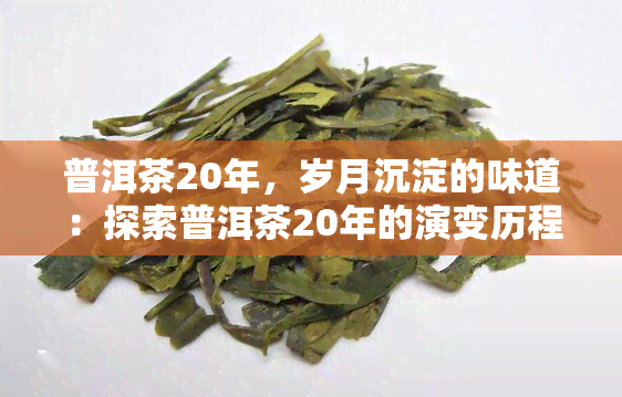 普洱茶20年，岁月沉淀的味道：探索普洱茶20年的演变历程