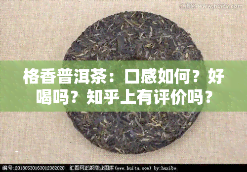 格香普洱茶：口感如何？好喝吗？知乎上有评价吗？