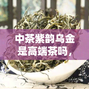 中茶紫韵乌金是高端茶吗，探讨中茶紫韵乌金的高端定位