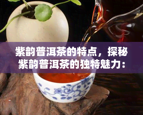 紫韵普洱茶的特点，探秘紫韵普洱茶的独特魅力：特点解析