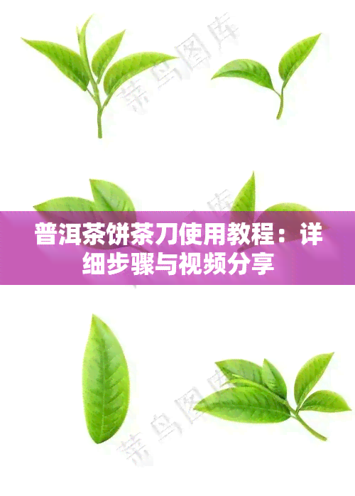 普洱茶饼茶刀使用教程：详细步骤与视频分享