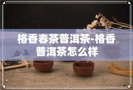 格香春茶普洱茶-格香普洱茶怎么样