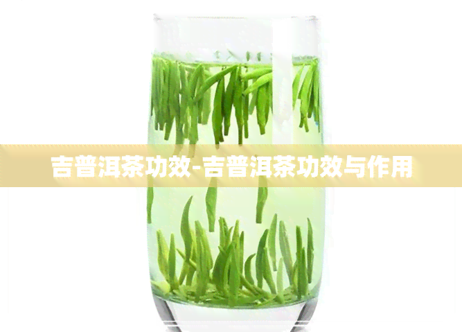 吉普洱茶功效-吉普洱茶功效与作用