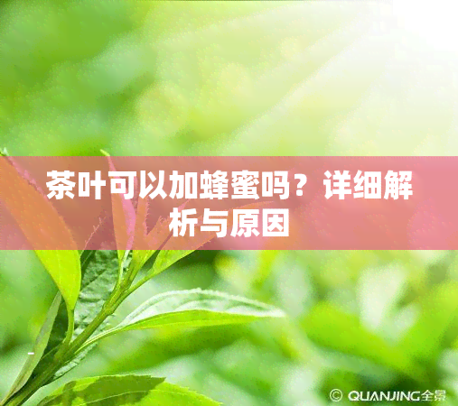 茶叶可以加蜂蜜吗？详细解析与原因