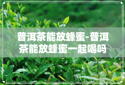 普洱茶能放蜂蜜-普洱茶能放蜂蜜一起喝吗