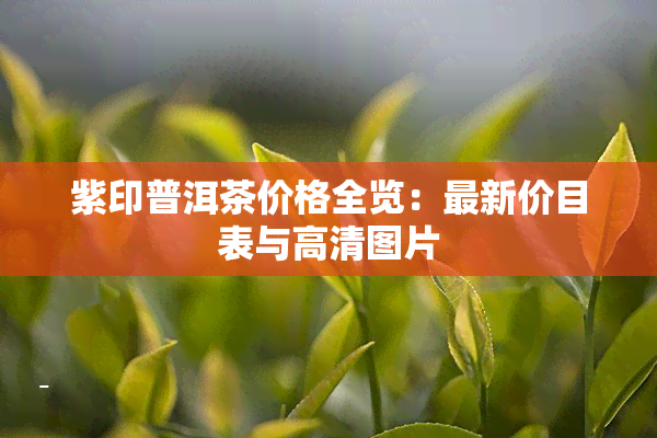 紫印普洱茶价格全览：最新价目表与高清图片