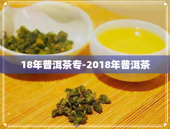 18年普洱茶专-2018年普洱茶