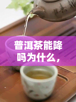 普洱茶能降吗为什么，探究普洱茶的降功效及其原因