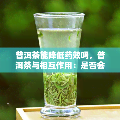 普洱茶能降低效吗，普洱茶与相互作用：是否会降低效？