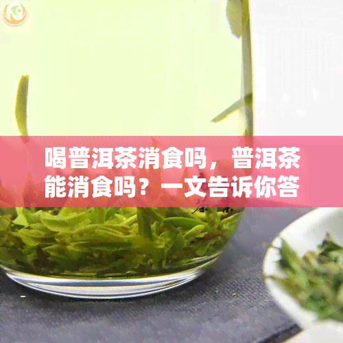 喝普洱茶消食吗，普洱茶能消食吗？一文告诉你答案