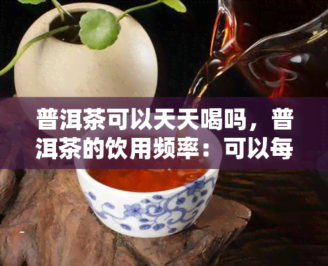 普洱茶可以天天喝吗，普洱茶的饮用频率：可以每天喝吗？