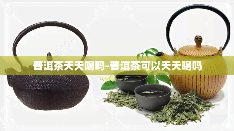 普洱茶天天喝吗-普洱茶可以天天喝吗