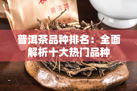 普洱茶品种排名：全面解析十大热门品种