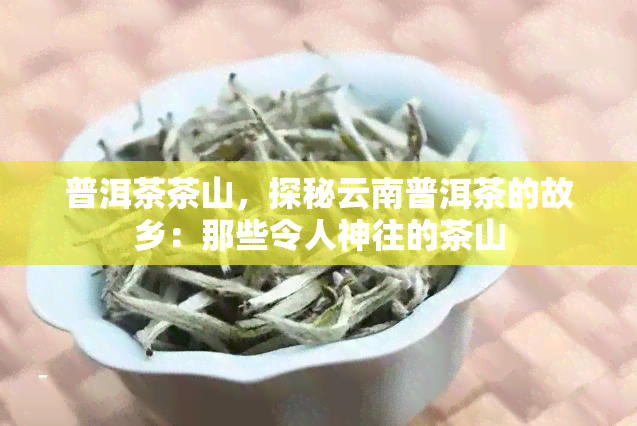 普洱茶茶山，探秘云南普洱茶的故乡：那些令人神往的茶山