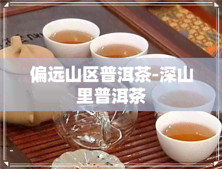 偏远山区普洱茶-深山里普洱茶