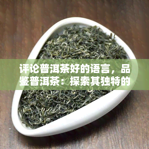 评论普洱茶好的语言，品鉴普洱茶：探索其独特的口感和韵味