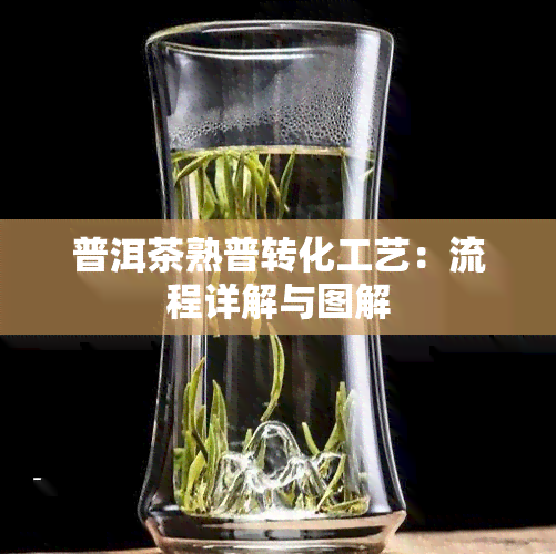 普洱茶熟普转化工艺：流程详解与图解