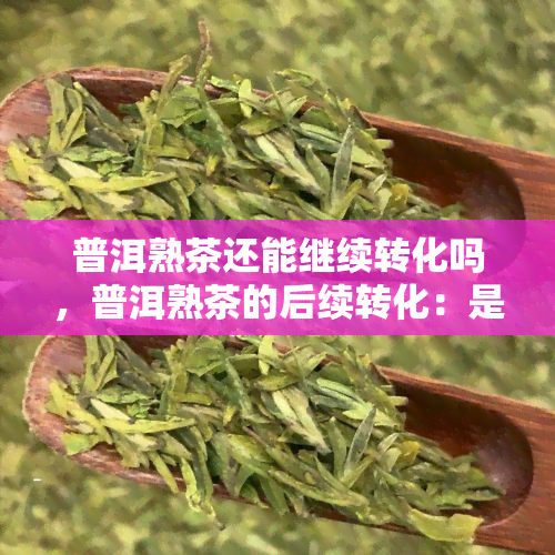 普洱熟茶还能继续转化吗，普洱熟茶的后续转化：是否有可能？