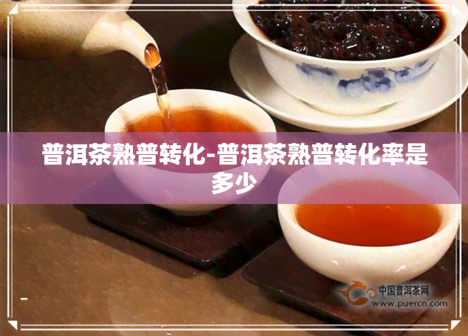 普洱茶熟普转化-普洱茶熟普转化率是多少