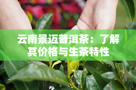 云南景迈普洱茶：了解其价格与生茶特性