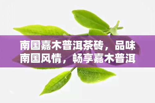 南国嘉木普洱茶砖，品味南国风情，畅享嘉木普洱——茶砖的魅力