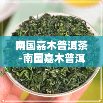 南国嘉木普洱茶-南国嘉木普洱茶砖