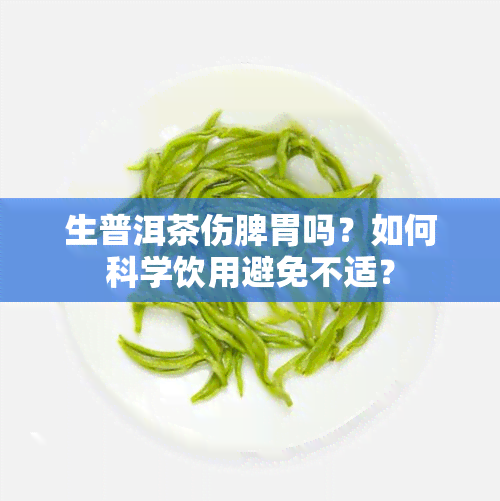 生普洱茶伤脾胃吗？如何科学饮用避免不适？