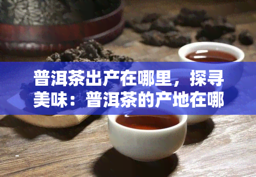 普洱茶出产在哪里，探寻美味：普洱茶的产地在哪里？