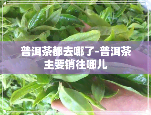 普洱茶都去哪了-普洱茶主要销往哪儿